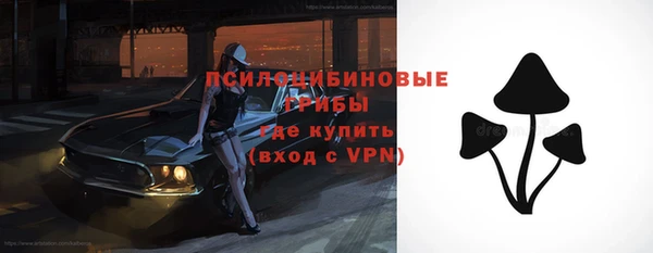 дмт Верхний Тагил