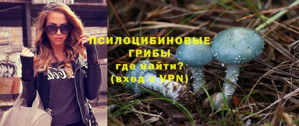 дмт Верхний Тагил