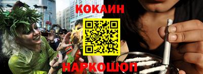 крисы Краснознаменск