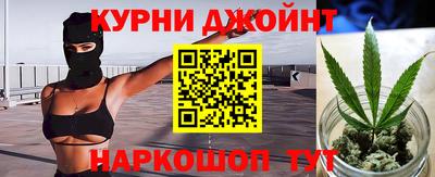 крисы Краснознаменск