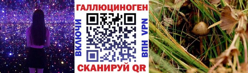 Галлюциногенные грибы ЛСД  купить наркотики цена  Симферополь 