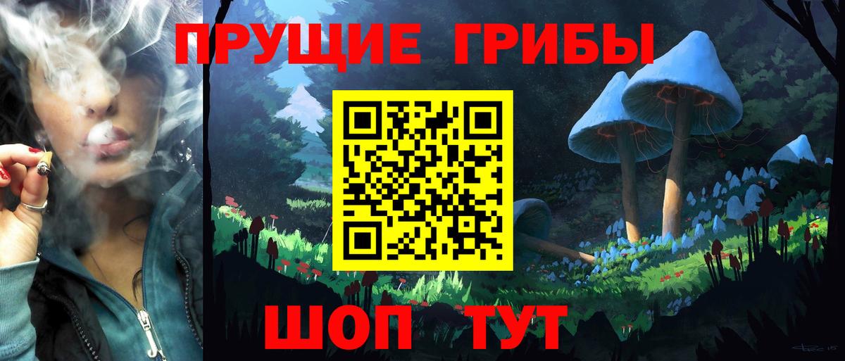 Симферополь  Псилоцибиновые грибы прущие грибы  Псилоцибиновые грибы ЛСД  Вход с VPN 